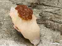 屋外, 座る, 小さい, 立つ が含まれている画像
AI 生成コンテンツは誤りを含む可能性があります。