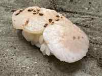 食品, 座る, 横たわる, 小さい が含まれている画像
AI 生成コンテンツは誤りを含む可能性があります。