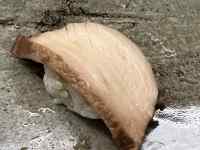 屋外, 座る, 食品, サンドイッチ が含まれている画像
AI 生成コンテンツは誤りを含む可能性があります。