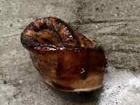 座る, テーブル, 食品, 茶色 が含まれている画像
AI 生成コンテンツは誤りを含む可能性があります。