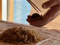 窓, テーブル, 犬, 男 が含まれている画像
AI 生成コンテンツは誤りを含む可能性があります。