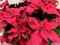 sN̉

AI Rec͌܂މ\܂B