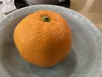 �{�E���̒��ɂ���I�����W

AI �����R���e���c�͌����܂މ\��������܂��B