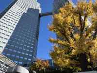 ����, ���{�̌���, ��, �^���[ ���܂܂�Ă���摜

AI �����R���e���c�͌����܂މ\��������܂��B