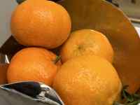 �{�E���ɐ���ꂽ�I�����W

AI �����R���e���c�͌����܂މ\��������܂��B