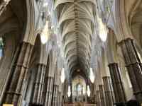 �I���K��, ����, ����, �傫�� ���܂܂�Ă���摜

AI �����R���e���c�͌����܂މ\��������܂��B