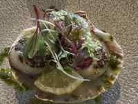 �T���h�C�b�`�ƃT���_

AI �����R���e���c�͌����܂މ\��������܂��B