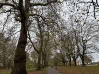 �X�̒��̖�

AI �����R���e���c�͌����܂މ\��������܂��B