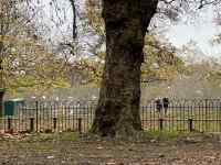 �t�F���X, ��, �t�B�[���h, ���q ���܂܂�Ă���摜

AI �����R���e���c�͌����܂މ\��������܂��B