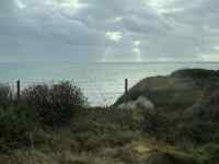 ���O, ��, ��, �E�V ���܂܂�Ă���摜

AI �����R���e���c�͌����܂މ\��������܂��B