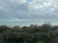 �u�̏�ɂ���

AI �����R���e���c�͌����܂މ\��������܂��B