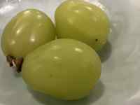 �J�E���^�[�̏�ɂ��鐔��ނ̃t���[�c

AI �����R���e���c�͌����܂މ\��������܂��B