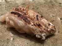 ����, ���O, ��, ���� ���܂܂�Ă���摜

AI �����R���e���c�͌����܂މ\��������܂��B