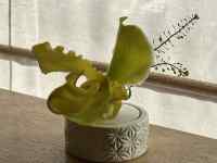 �؂̎}

AI �����R���e���c�͌����܂މ\��������܂��B