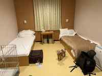 ����, �Q��, ����, �x�b�h ���܂܂�Ă���摜

AI �����R���e���c�͌����܂މ\��������܂��B