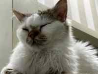 �L�̊�

AI �����R���e���c�͌����܂މ\��������܂��B