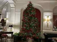 �Ԃ�����ꂽ����

AI �����R���e���c�͌����܂މ\��������܂��B