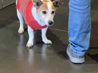 �������𒅂Ă��錢

AI �����R���e���c�͌����܂މ\��������܂��B