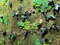 �� ���܂܂�Ă���摜

AI �����R���e���c�͌����܂މ\��������܂��B