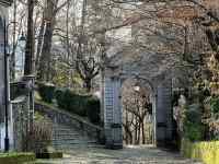 �����Ɩ؁X

AI �����R���e���c�͌����܂މ\��������܂��B