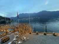 �R�ƌ΂̕��i

AI �����R���e���c�͌����܂މ\��������܂��B