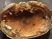 �H�i ���܂܂�Ă���摜

AI �����R���e���c�͌����܂މ\��������܂��B