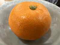 �M�̏�̃I�����W

AI �����R���e���c�͌����܂މ\��������܂��B