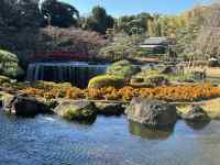 ����������

AI �����R���e���c�͌����܂މ\��������܂��B