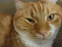 �L�̊�

AI �����R���e���c�͌����܂މ\��������܂��B