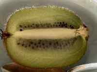 �{�E���̒��ɂ���o�i�i

AI �����R���e���c�͌����܂މ\��������܂��B