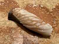 ����, �H�i, ����, �P�[�L ���܂܂�Ă���摜

AI �����R���e���c�͌����܂މ\��������܂��B