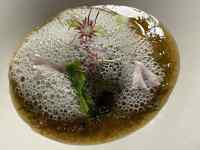 �h�[�i�c, ����, �H�i, �`���R���[�g ���܂܂�Ă���摜

AI �����R���e���c�͌����܂މ\��������܂��B