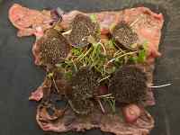 �H�i ���܂܂�Ă���摜

AI �����R���e���c�͌����܂މ\��������܂��B