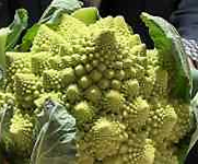 �l, �H�i, �P�[�L, �e�[�u�� ���܂܂�Ă���摜

AI �����R���e���c�͌����܂މ\��������܂��B