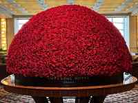 ����, �e�[�u��, ����, ���� ���܂܂�Ă���摜

AI �����R���e���c�͌����܂މ\��������܂��B