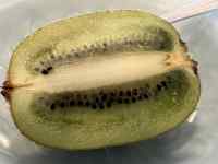 ����, ����, �H�i, �e�[�u�� ���܂܂�Ă���摜

AI �����R���e���c�͌����܂މ\��������܂��B