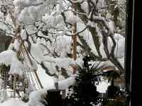 ��, �ʐ^, ��, ���� ���܂܂�Ă���摜

AI �����R���e���c�͌����܂މ\��������܂��B