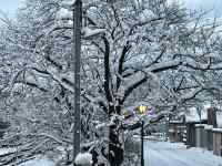 �Ⴊ�ς�������

AI �����R���e���c�͌����܂މ\��������܂��B