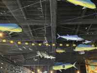 ����, �{�[�g, ��s�@, �傫�� ���܂܂�Ă���摜

AI �����R���e���c�͌����܂މ\��������܂��B