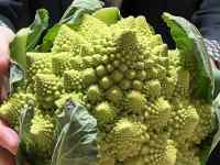 �l, �H�i, �P�[�L, �e�[�u�� ���܂܂�Ă���摜

AI �����R���e���c�͌����܂މ\��������܂��B