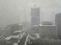 �ʐ^, ����, ����, �����ς� ���܂܂�Ă���摜

AI �����R���e���c�͌����܂މ\��������܂��B