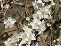 �Ԃ��炢�Ă���

AI �����R���e���c�͌����܂މ\��������܂��B