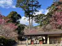 �΂̖؁X

AI �����R���e���c�͌����܂މ\��������܂��B