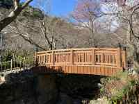 ��, ���O, ����, �� ���܂܂�Ă���摜

AI �����R���e���c�͌����܂މ\��������܂��B