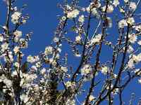 �Ԃ̊G

AI �����R���e���c�͌����܂މ\��������܂��B