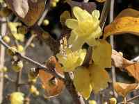 �Ԃ��炢���}

AI �����R���e���c�͌����܂މ\��������܂��B