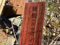 �� ���܂܂�Ă���摜

AI �����R���e���c�͌����܂މ\��������܂��B