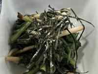 ��̏�ɂ��鐔��ނ̖��

AI �����R���e���c�͌����܂މ\��������܂��B