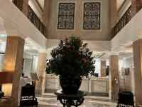 ����, �X�g���[�g, ���]��, �s ���܂܂�Ă���摜

AI �����R���e���c�͌����܂މ\��������܂��B