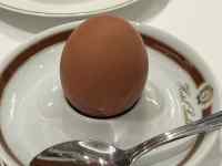 �M�̏�ɒu���ꂽ�R�[�q�[�J�b�v

AI �����R���e���c�͌����܂މ\��������܂��B